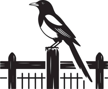 Tahta bir çite konmuş saksağan bir kuşun vektör silueti, doğa ve bahçe temalı tasarımlar için mükemmel.