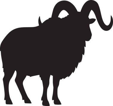 Bir koçun siyah ve beyaz vektör silueti ya da büyük boynuzlu koyun güçlü heybetli bir duruşla büyük boynuzlarıyla ayakta duruyor.