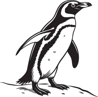 Vahşi yaşam, Antarktika ve doğa temalı tasarımlar için ideal olan iki penguenin detaylı siyah beyaz çizimi