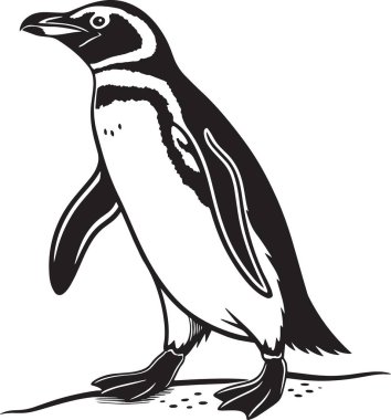 Yan yana yürüyen iki penguenin siyah ve beyaz detaylı vektörü vahşi yaşam, hayvanat bahçesi ve doğa temalı projeler için mükemmel.