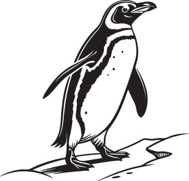 Dik duran bir penguenin siyah ve beyaz vektör çizimi vahşi yaşam, doğa ve hayvan temalı tasarımlar için mükemmel.