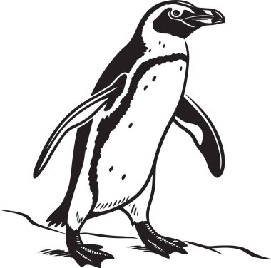 Vahşi yaşam, doğa ve eğitim tasarımları için ideal, yürüyen tek bir penguenin siyah beyaz vektör çizimi