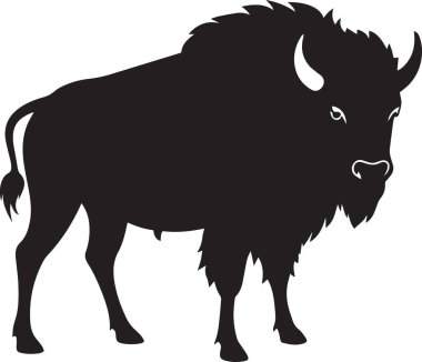 Büyük bir Amerikan bizonunun siyah siluet vektörü güçlü bir yan profil pozisyonunda duruyor.