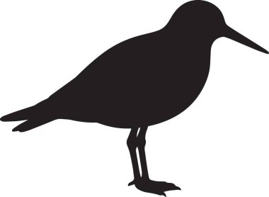 Kıyı sahili sahnesinde kayalarla yerde duran bir martının siyah siluet vektörü