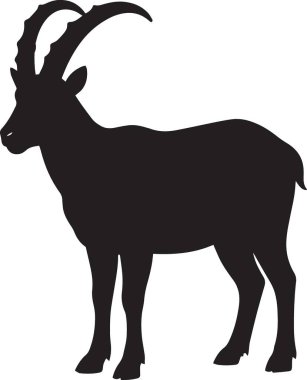 Dağ keçisinin ya da dağ keçisinin siyah silueti büyük boynuzlarla ayakta duruyor.