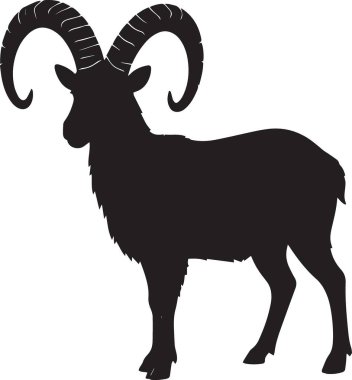Güçlü profil pozunda duran büyük kıvrımlı boynuzları olan bir bighorn koçunun siyah silueti.