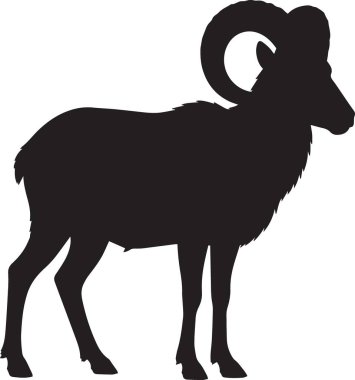 Bir bighorn koçunun siyah vektör silueti ya da büyük eğri boynuzlu dağ koyunu, vahşi yaşam temalı projeler için idealdir.