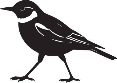 Kuyruk sallayan bir kuşun siyah vektör silueti kuş izleme ve kuşbilim temalı projeler için idealdir.