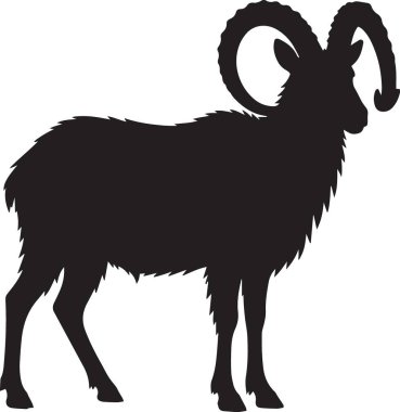 Kara vektör silueti koca boynuzlu koç koyunu ve dağ hayvanının boynuzları.
