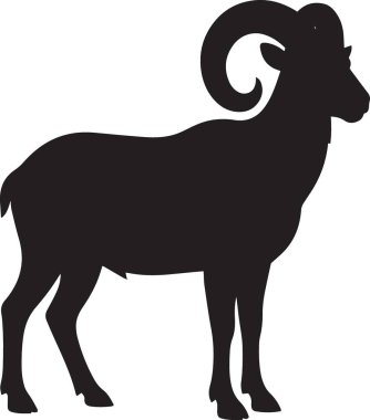 Kara vektör silueti koca boynuzlu koyun sürüsü gururlu dağ hayvanı gibi duruyor.