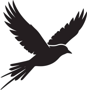 Kanatları açık ve uzun kuyruk tüyleri süzülen egzotik bir kuşun siyah vektör silueti.