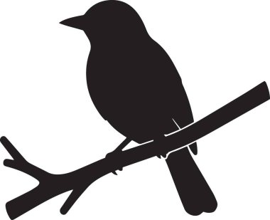 Doğada dinlenen ağaç dalına tünemiş küçük bir kuşun siyah vektör silueti.