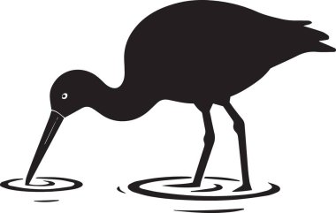 Leylek kuşunun siyah vektör silueti sığ suda yüzen kuşları besliyor ya da yiyecek arıyor.