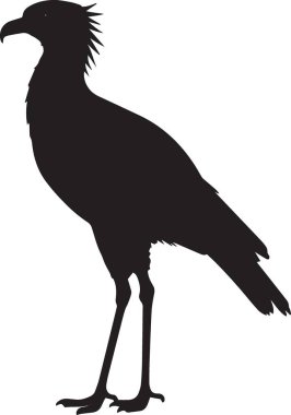 Ayakkabı gagalı leyleğin siyah siluet vektörü ya da büyük dalgıç kuşu, egzotik vahşi yaşam tasarımları için mükemmel.