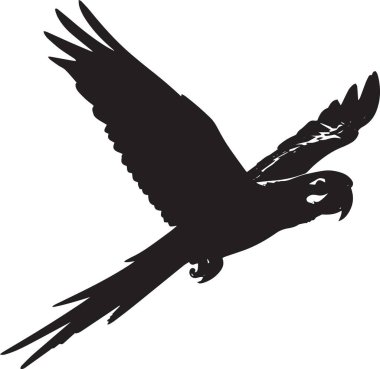 Kanatları açık, beyaz arka planda izole bir şekilde uçan görkemli bir kartalın siyah vektör silueti. Doğa, özgürlük ve vatanseverlik temalı tasarım projeleri için mükemmel..