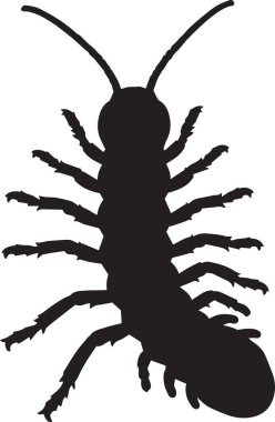 Beyaz arka planda izole edilmiş uzun antenli ve detaylı bacaklı bir hamam böceğinin siyah vektör silueti. Böcek kontrolü, böcek bilimi ve böcek temalı tasarımlar için harika..