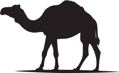 Siyah bir devenin silueti profil görüntüsünde duruyor, beyaz arka planda izole edilmiş. Çöl, seyahat ve Orta Doğu temalı tasarım projeleri için mükemmel..