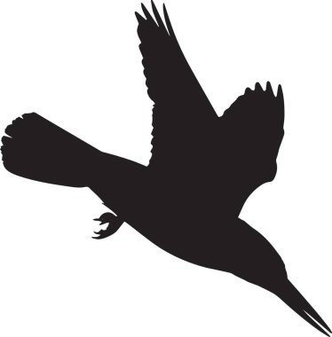 Kıyı, sahil ve deniz temalı tasarımlar için mükemmel kanatları olan uçmakta olan bir martının siyah vektör silueti