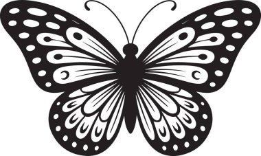 Dekoratif bir kelebeğin siyah beyaz çizimi. Karmaşık dekoratif kanat desenleri ve detaylarıyla. Doğa ve güzellik projeleri için zarif tasarım.