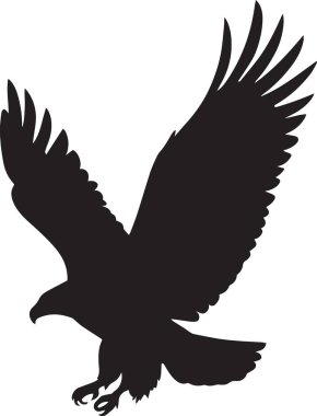 Kanatları geniş bir kartalın vektör silueti. Güç ve görkemi temsil eden yere inmeye ya da avlanmaya hazırlanıyor.