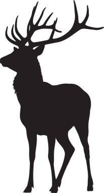 Görkemli bir geyiğin vektör silueti ya da geyik büyük etkileyici boynuzları ile yürüyor, vahşi yaşam için mükemmel doğa avı ve açık hava temalı tasarımlar için