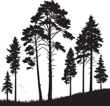Ormanın kenarındaki çam ağaçlarının siyah ve beyaz vektör silueti. Değişen yükseklikleri, doğa ağaçlarının çizdiği manzara.