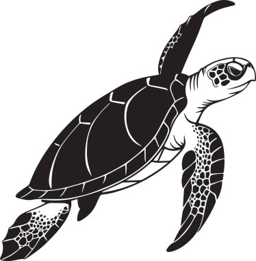 Siyah ve beyaz vektör silueti, detaylı kabuklu yüzen bir deniz kaplumbağasının çizimi, deniz yaban hayatı okyanusu kavramı.
