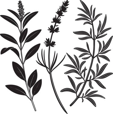 Bitki bitkilerinin siyah siluet vektörü yapraklı ve çiçekli beyaz arkaplanda yer alır
