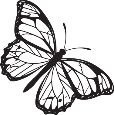 Ayrıntılı kanat desenli uçan bir kral kelebeğinin güzel siyah ve beyaz vektör silüeti