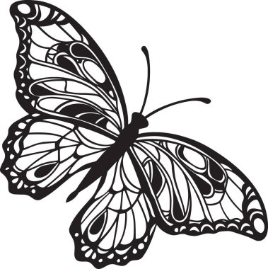 Karmaşık dekoratif kanat desenleri olan bir kelebeğin oldukça detaylı siyah ve beyaz vektör silüeti