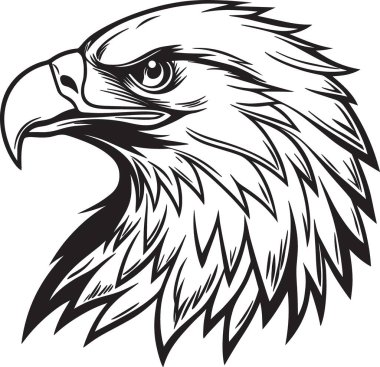 Ayrıntılı tüy çizgileri ve yoğun ifadesiyle vahşi bir kartal kafasının siyah ve beyaz vektör silueti