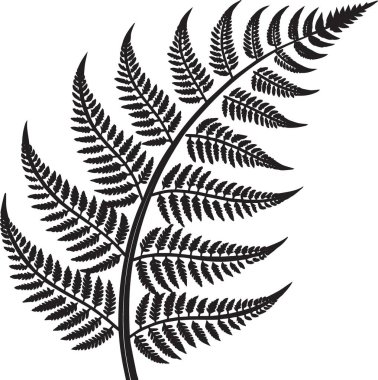 Black silhouette vector of a single fern frond with detailed leaflets, perfect for botanical and nature themed designs