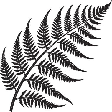 Black silhouette vector of a pair of fern fronds with intricate leaflet patterns, ideal for nature and decorative designs
