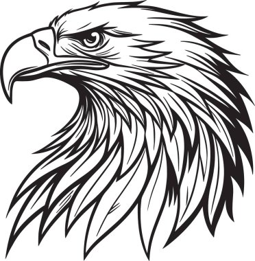 Kartal kafasının siyah ve beyaz, çok detaylı, tüylü dokusuna sahip, birinci sınıf vahşi yaşam tasarımları için idealdir.