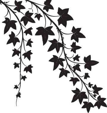 Sarmaşık yapraklarının yoğun siyah siluet vektörü kıvrımlı dallarda kümelenmiş, doğa ve botanik temalı tasarımlar için mükemmel.