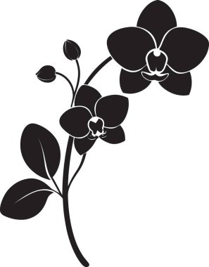 Çoklu çiçek ve tomurcukları olan bir orkide dalının siyah ve beyaz vektör silueti