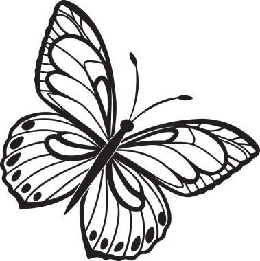 Ayrıntılı desenli kanatları olan bir kelebeğin siyah ve beyaz vektör çizgisi çizimi