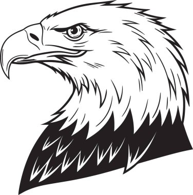Keskin gözleri ve tüyleri olan vahşi kel kartal başının siyah ve beyaz vektör çizimi
