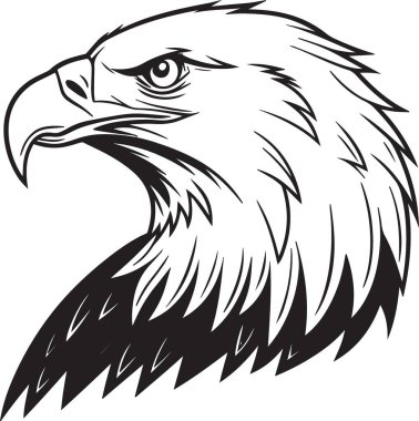 Keskin gagalı ve sert ifadeli kel bir kartal kafasının siyah ve beyaz çizimi