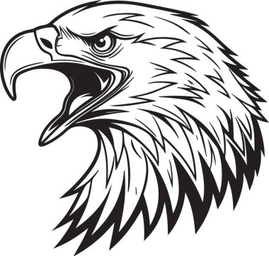 Kızgın kel bir kartalın siyah-beyaz vektörü. Açık gagalı, bağıran, agresif ifadeli.
