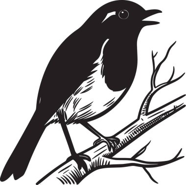 Çıplak bir dala tünemiş bir kuşun siyah vektör silueti sesleniyor ya da şarkı söylüyor