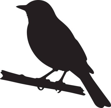 Küçük bir ötücü kuşun siyah vektör silueti bir dala tünemişti.