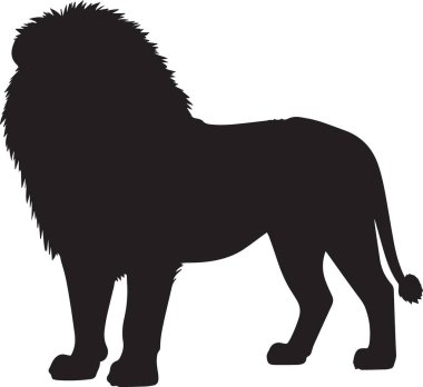 Bir aslanın siyah vektör silueti beyaz arkaplanda yelesi ile profil görünümünde duruyor