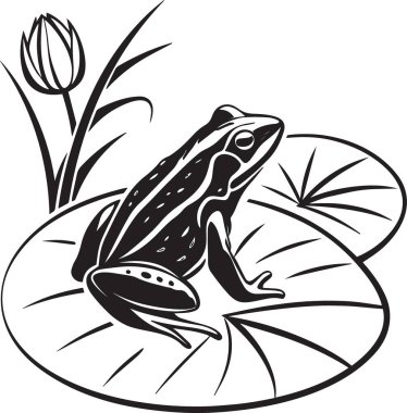 Nilüfer yaprağında su bitkileriyle oturan bir kurbağanın siyah ve beyaz vektör silueti