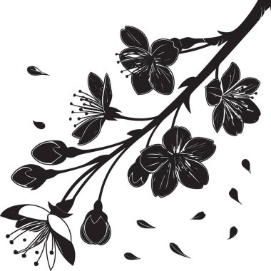 Ayrıntılı çiçekler ve düşen yapraklarla kiraz çiçeği dalının siyah ve beyaz vektör silueti