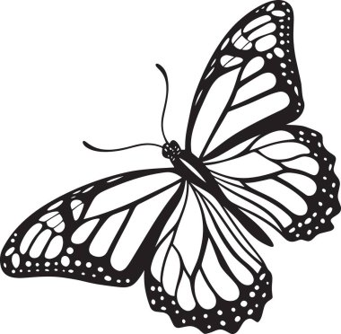 Bir kral kelebeğinin siyah ve beyaz vektör silueti uçuşta ayrıntılı kanatları var.