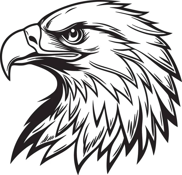 Ayrıntılı tüy çizgileri ve yoğun ifadesiyle vahşi bir kartal kafasının siyah ve beyaz vektör silueti