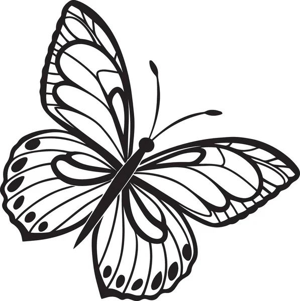 Ayrıntılı desenli kanatları olan bir kelebeğin siyah ve beyaz vektör çizgisi çizimi