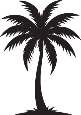 İki palmiye ağacının siyah ve beyaz vektör silueti yan yana duruyor