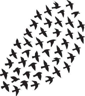 Büyük bir kuş sürüsünün siyah silueti, özgürlük ve göç temalı sanatsal tasarımlar için mükemmel bir formasyon oluşturur.